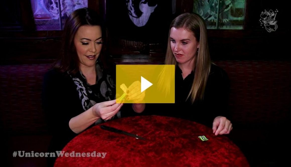 Unicorn Wednesday Week 5 - Lennon and the Sawing