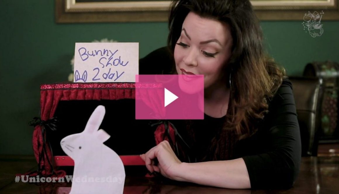 Unicorn Wednesday Week 49 - Bunny Show!
